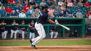 Ohio’s Minor League Baseball Team Roundup
